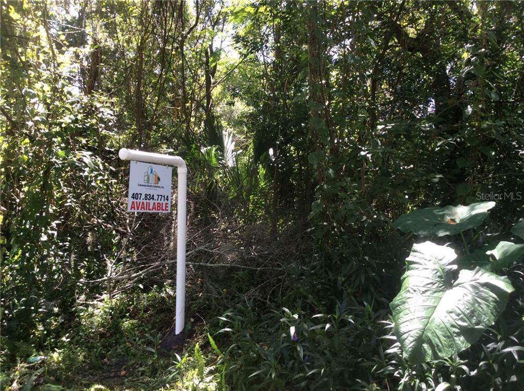 Baywood Street - Photo 1