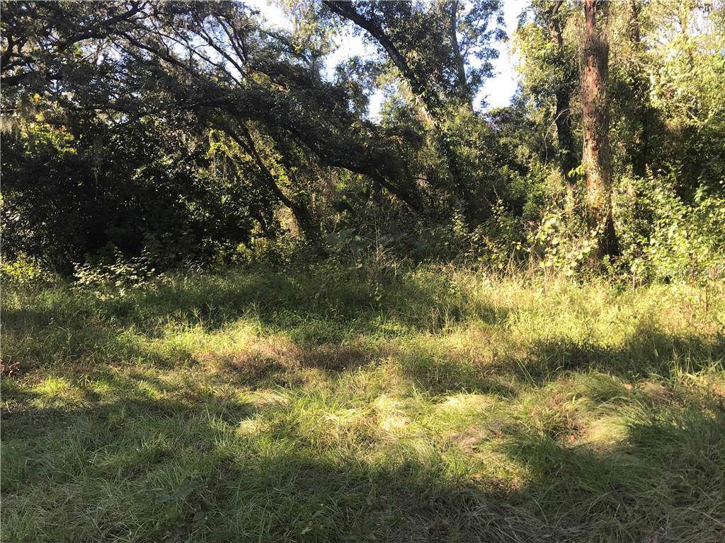 1900 Sylvan Ave - Photo 1