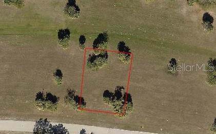 24276 Peppercorn Road - Photo 1