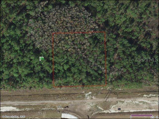 Apopka Vineland - Photo 1