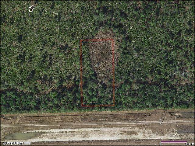 Apopka Vineland - Photo 1