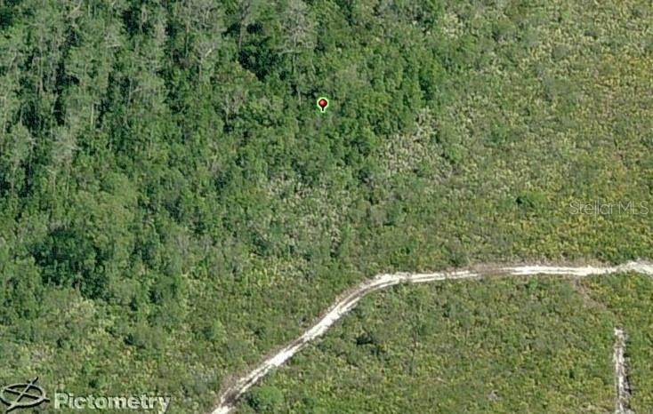 1345 Sable Palm - Photo 1