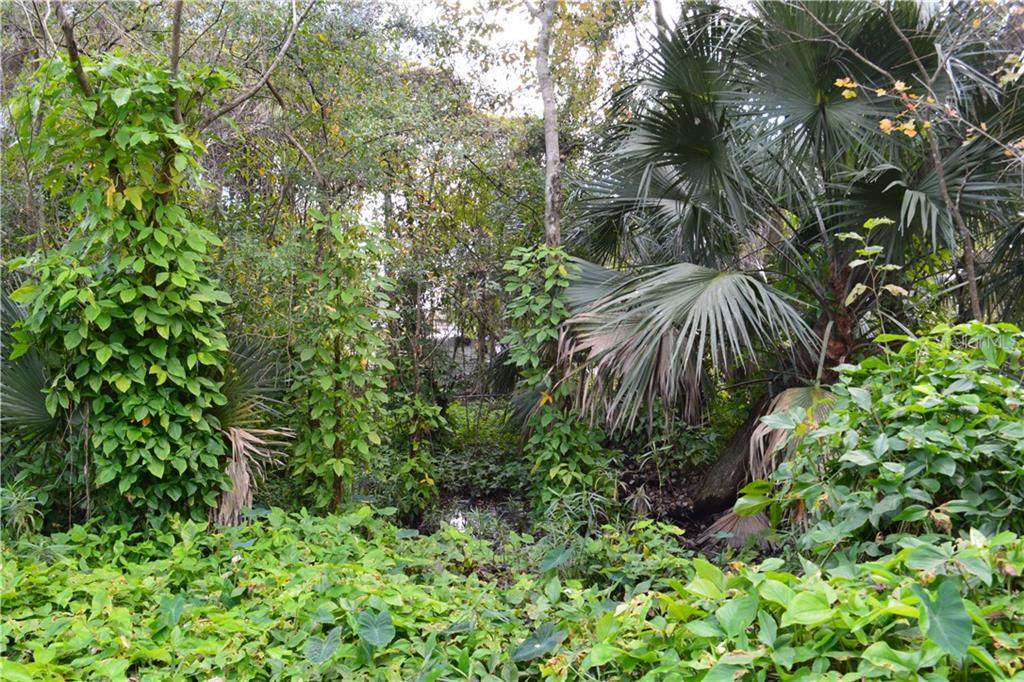 17 Laurel Ave - Photo 1