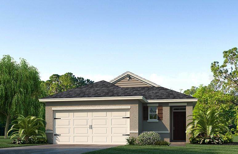 29502 Caspian Street - Photo 1