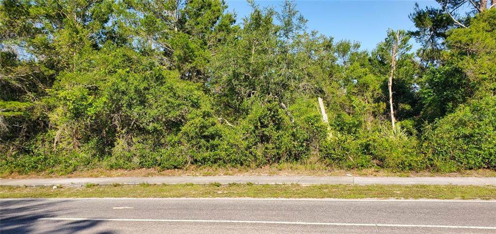 79 Courtland Boulevard - Photo 1