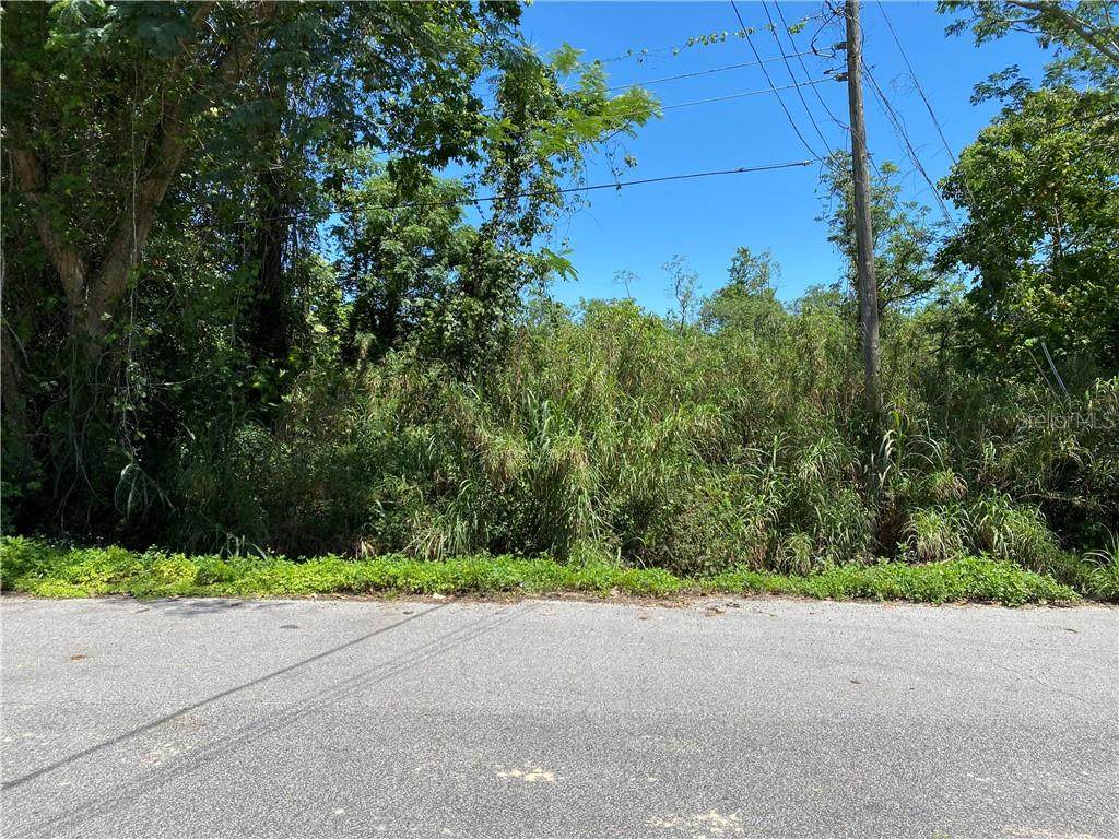 4814 Weeping Willow Avenue - Photo 1 4814 Weeping Willow Avenue - Photo 1