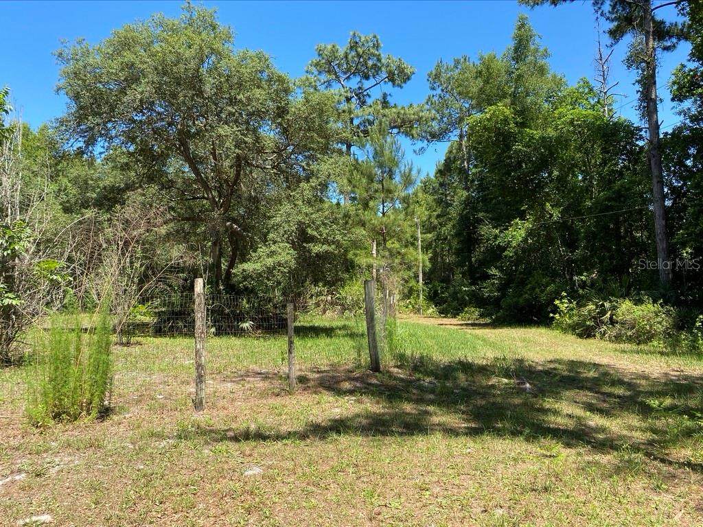 27145 State Road 44 - Photo 1