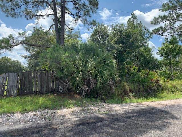 Magnolia Road - Photo 1