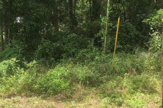 TBD Fisher Way Place - Photo 1