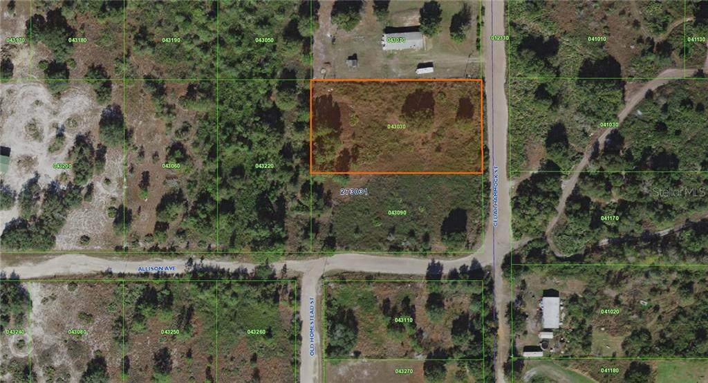 0 Cedar Hammock Street - Photo 1