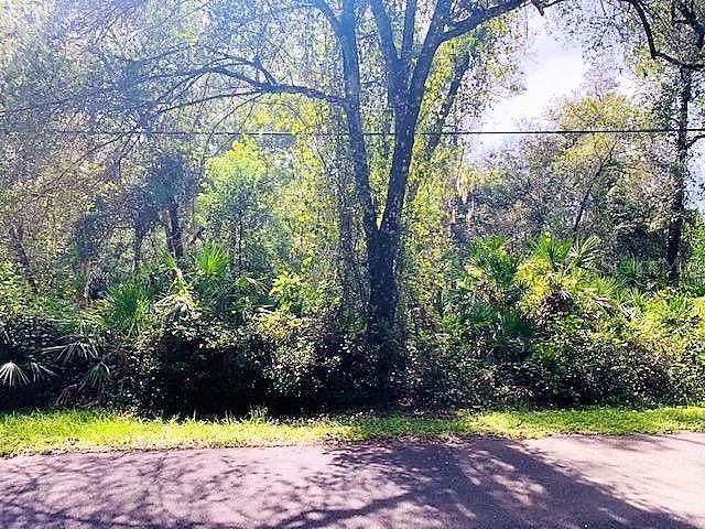 537 Hamilton Drive - Photo 1