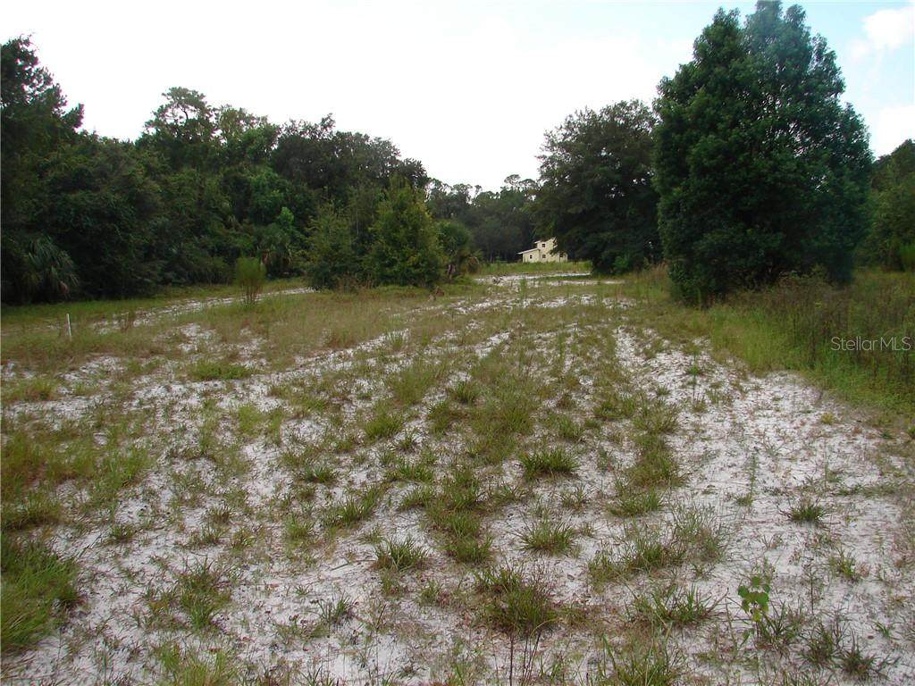 Pine Way - Photo 1