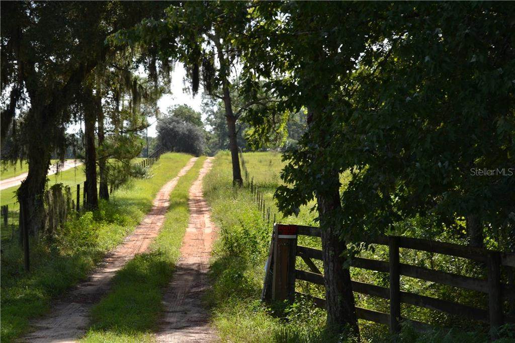 7358 Black Road - Photo 1