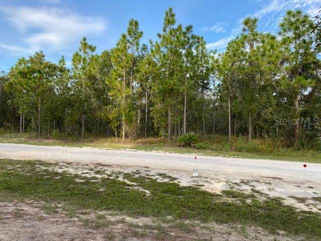 13481 Grebe Road - Photo 1