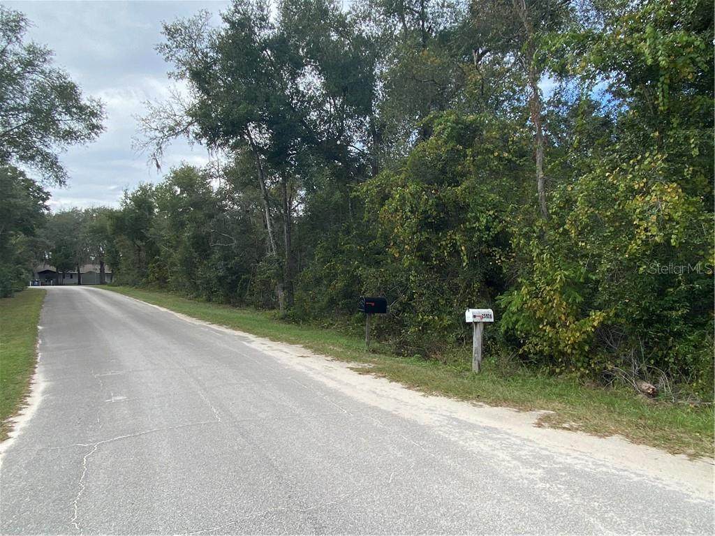 Blue Lakes Drive - Photo 1