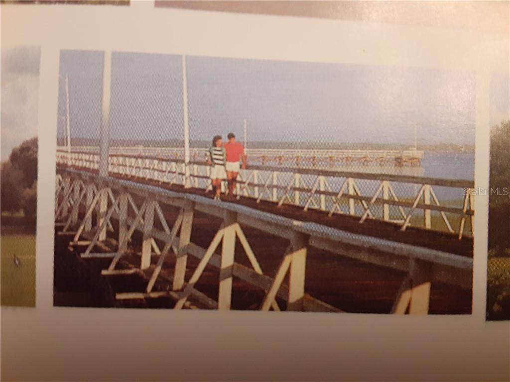 Daytona Drive - Photo 1