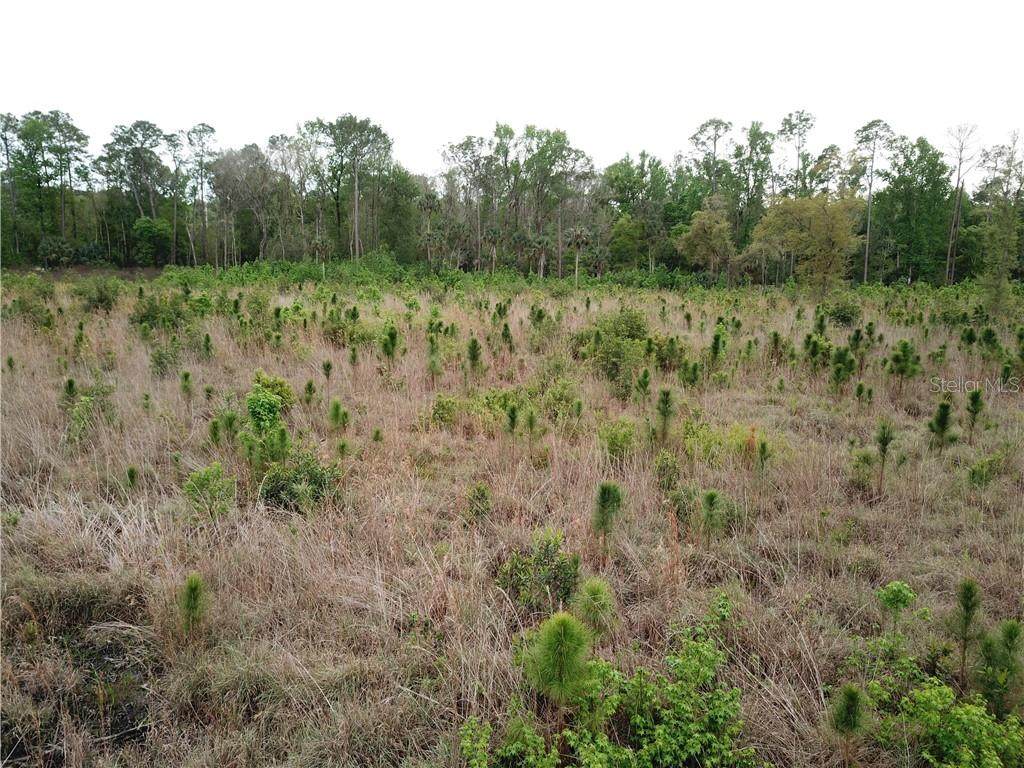 County Road 42 - Photo 1