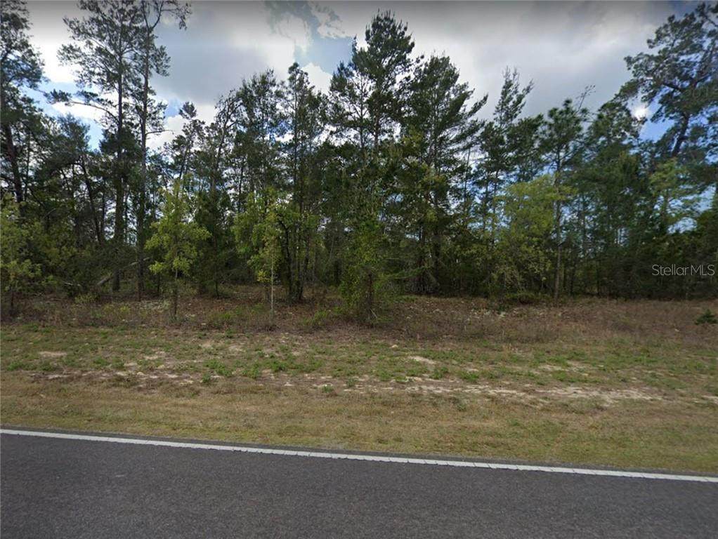 2448 Menores Drive - Photo 1