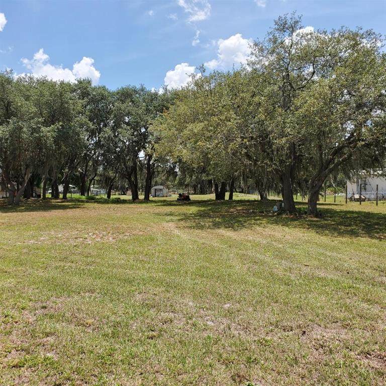 116 Constitution Lane - Photo 1