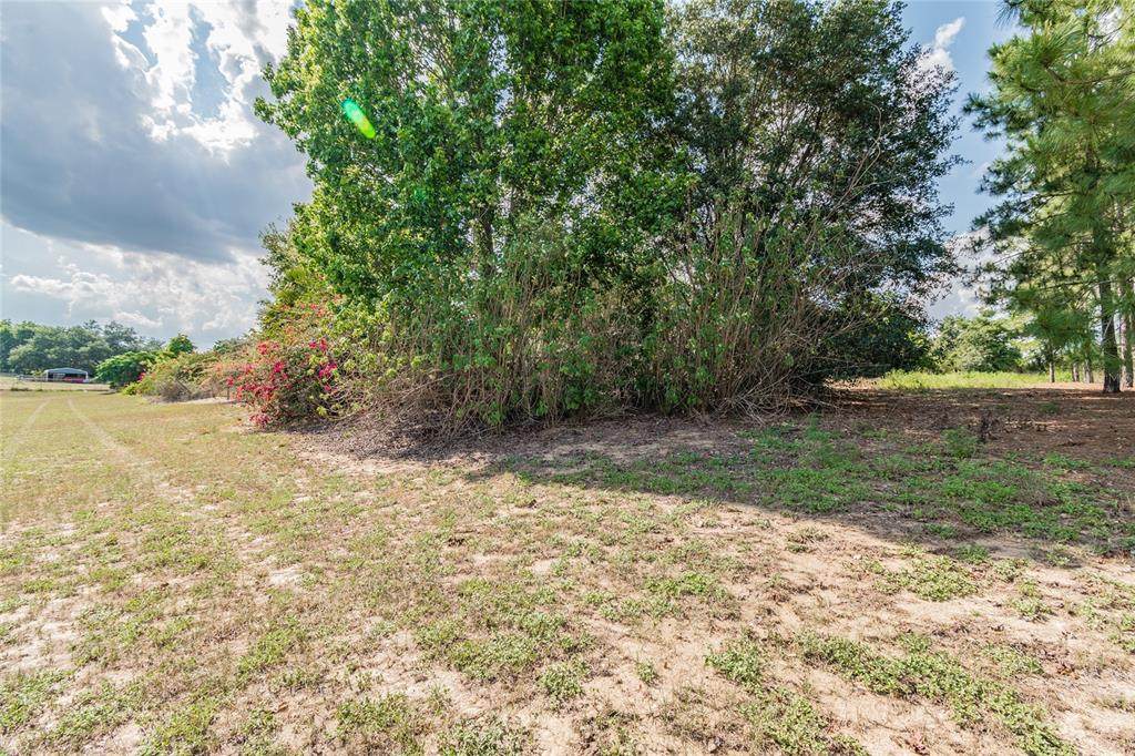 2000 Williams Road - Photo 1