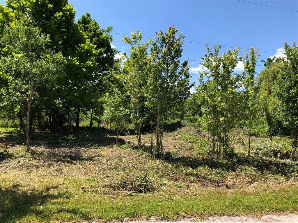 2020 Triangle Drive - Photo 1
