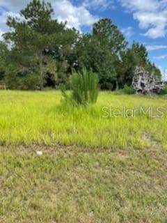 2055 Pecos Drive - Photo 1