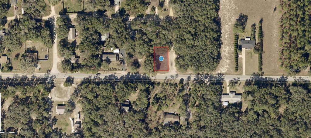 Lake Griffin Road - Photo 1