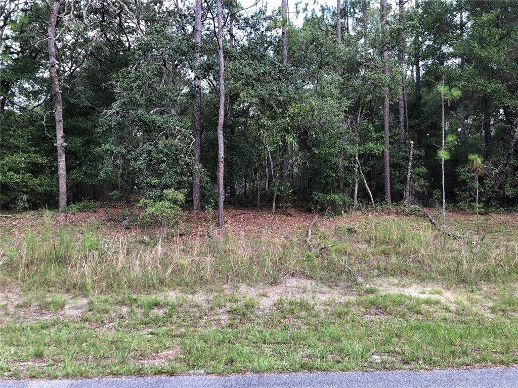 9327 Sherman Drive - Photo 1