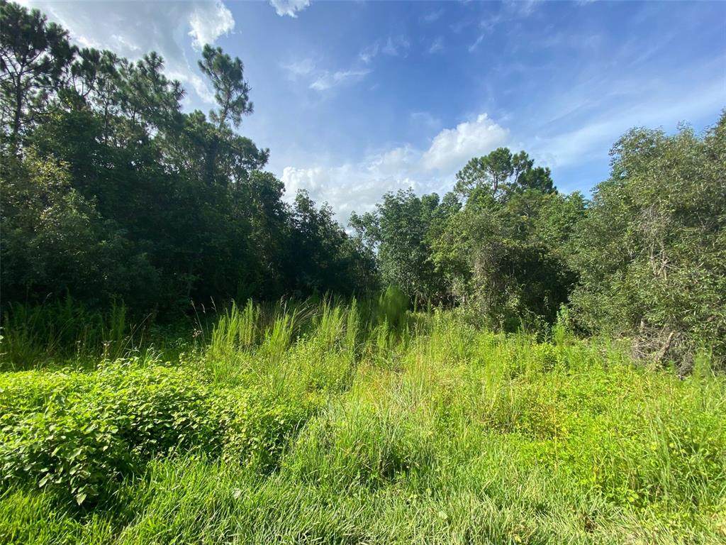 4145 Sorrento Road - Photo 1