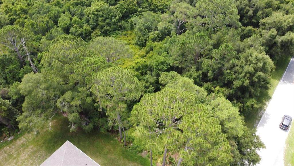 847 Lark Court - Photo 1