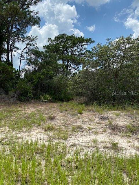 1318 Homosassa Drive - Photo 1