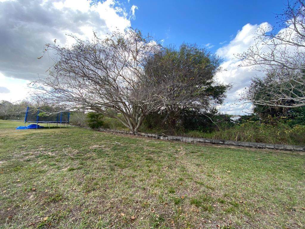Pineloch Drive - Photo 1