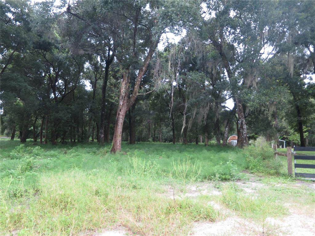 1500 Brimshire Circle - Photo 1