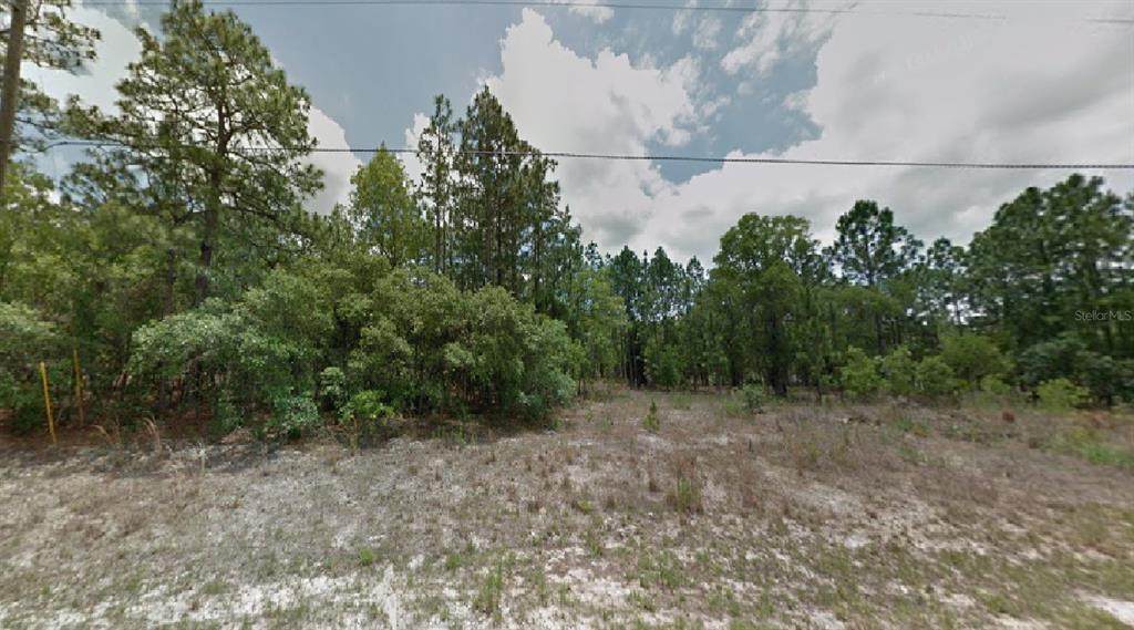 7715 Janeaux Drive - Photo 1