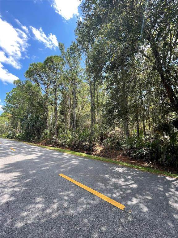 Osceola Road - Photo 1