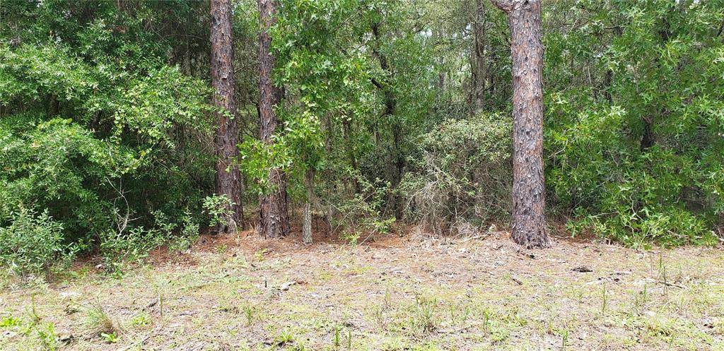 9746 Country Club Way - Photo 1