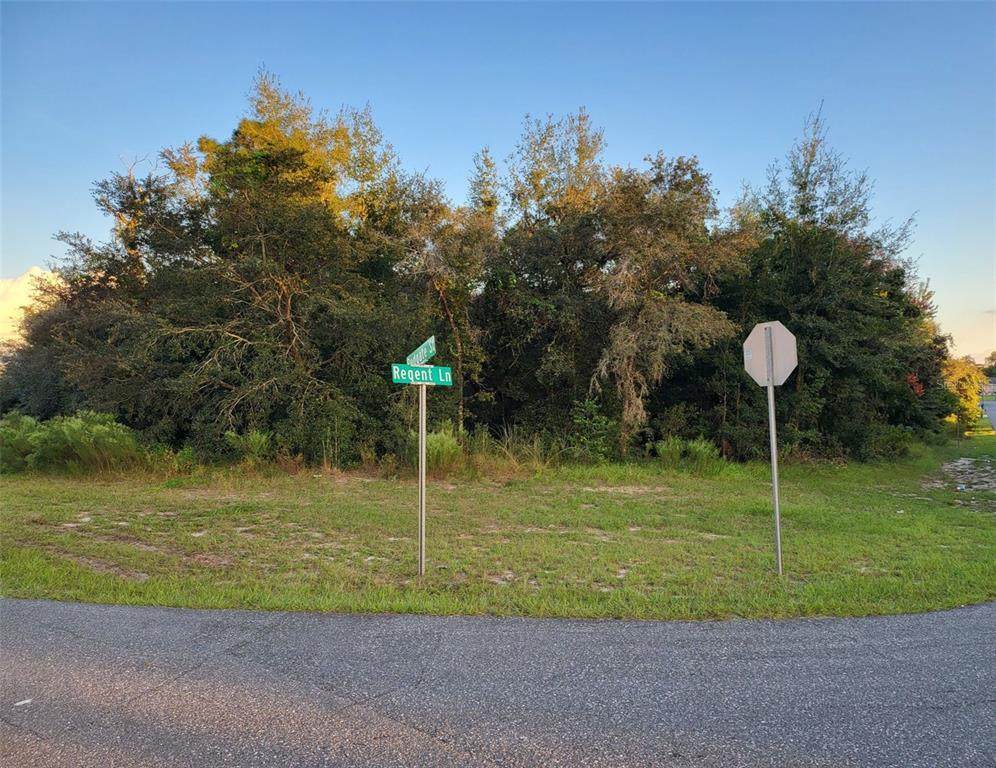 11298 Redgate Street - Photo 1