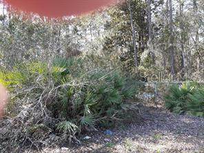 1610 Chaffee Road - Photo 1
