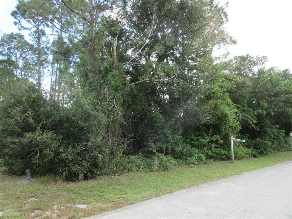 2715 Augustine Ct - Photo 1