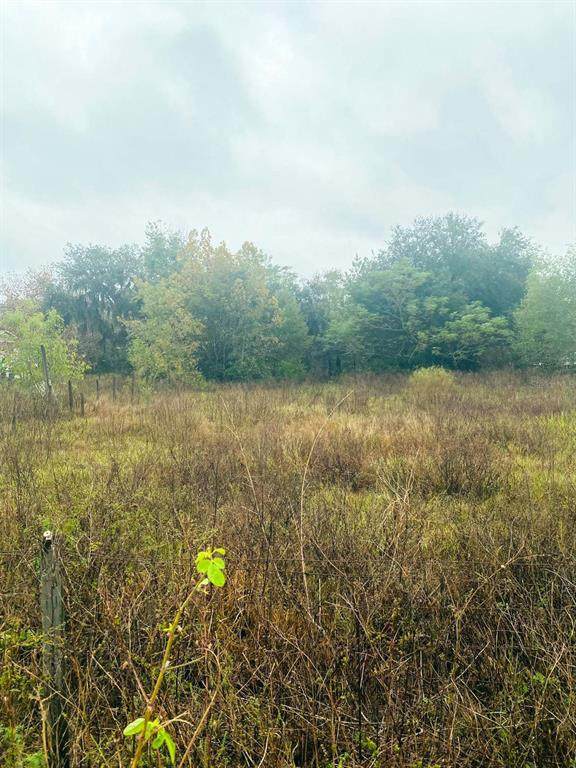 2045 Slocumb Road - Photo 1