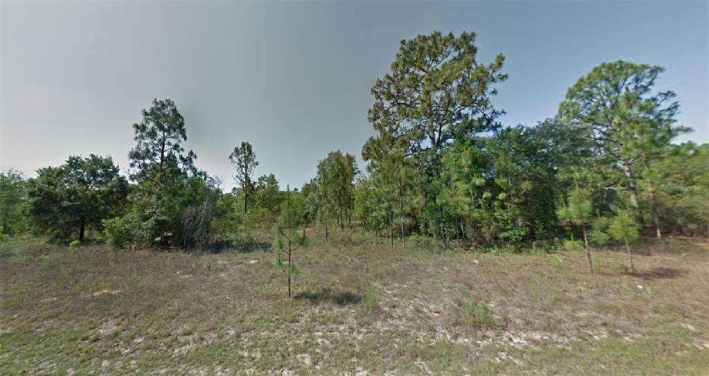 1512 Skyline Drive - Photo 1