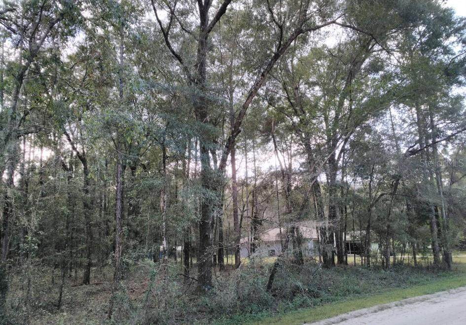 11996 39TH Lane - Photo 1