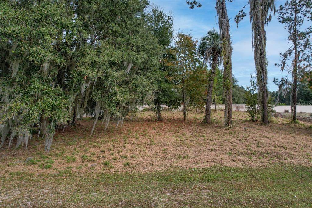 801 Oaks Shores Road - Photo 1