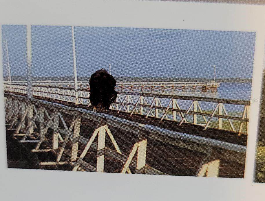 https://bt-photos.global.ssl.fastly.net/mfr/orig_boomver_1_O6000277-2.jpg