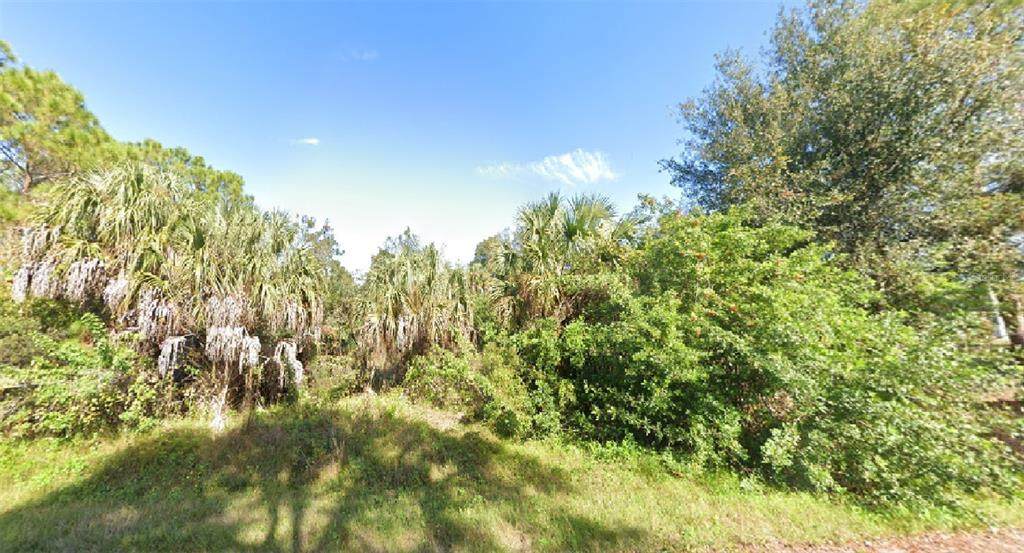 26236 Hapsburg Road - Photo 1