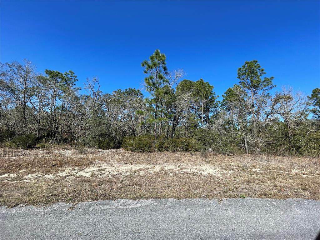 2943 Santana Drive - Photo 1