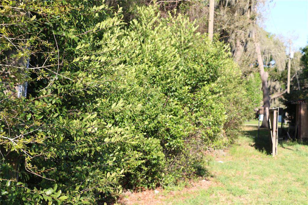 Cr 470 - Photo 1