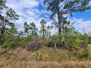 732 Quail Avenue - Photo 1