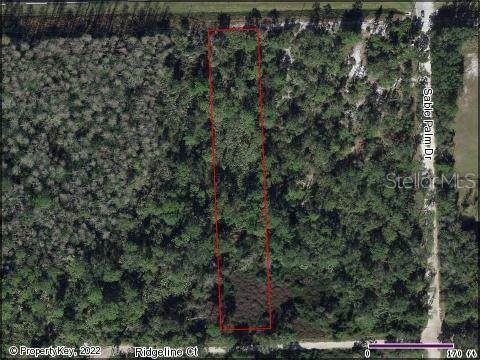 21408 Colonial Drive - Photo 1