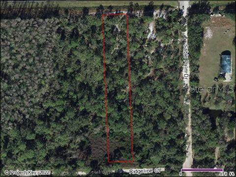21416 Colonial Drive - Photo 1
